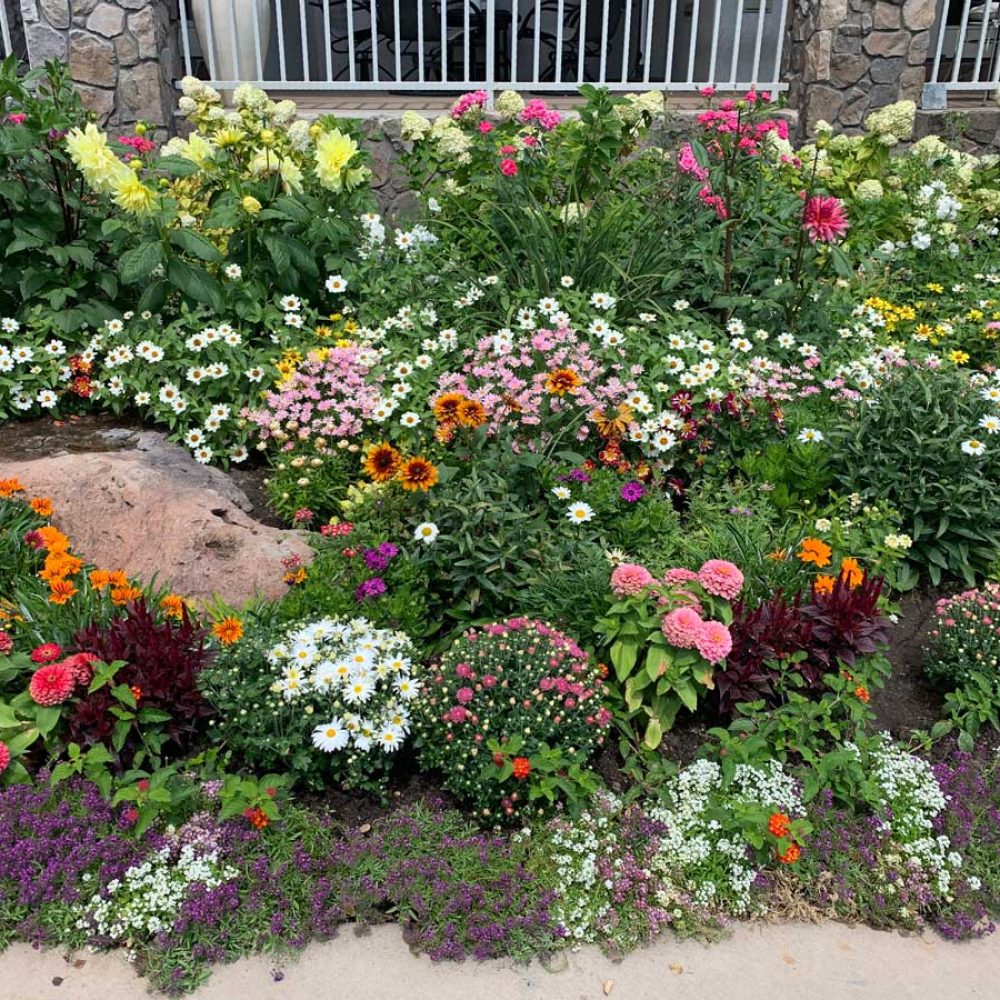 landscaping landscaping